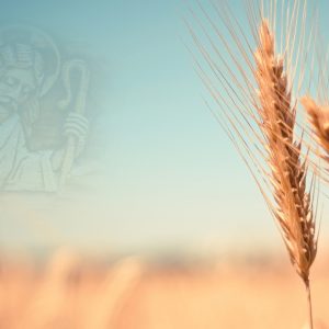 Vocations Awareness Week