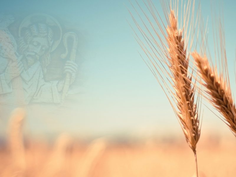 Vocations Awareness Week