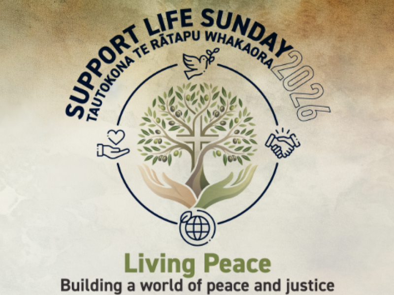 Support Life Sunday v2