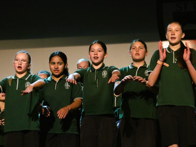 Southwest Schools Cultural Festival 1