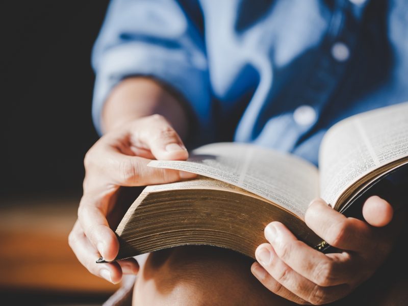 Reading Bible Book