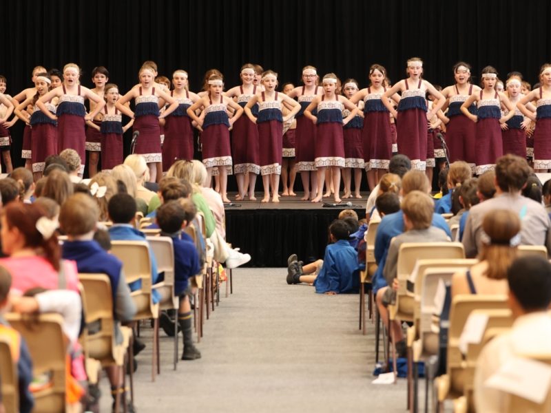 Schools Cultural Maori St Albans