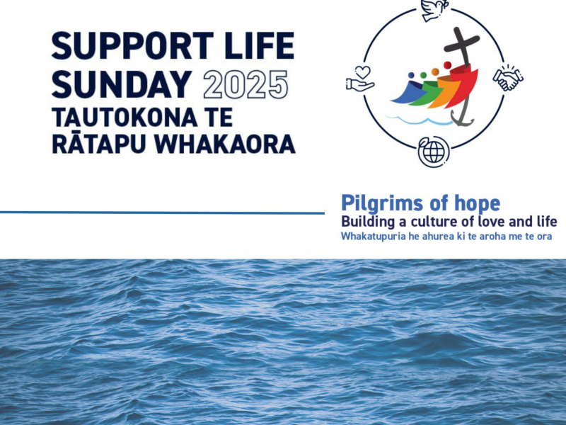Support Life Sunday 1