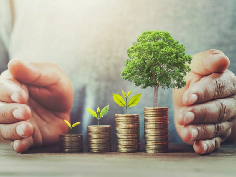 Businessman protection money table with tree