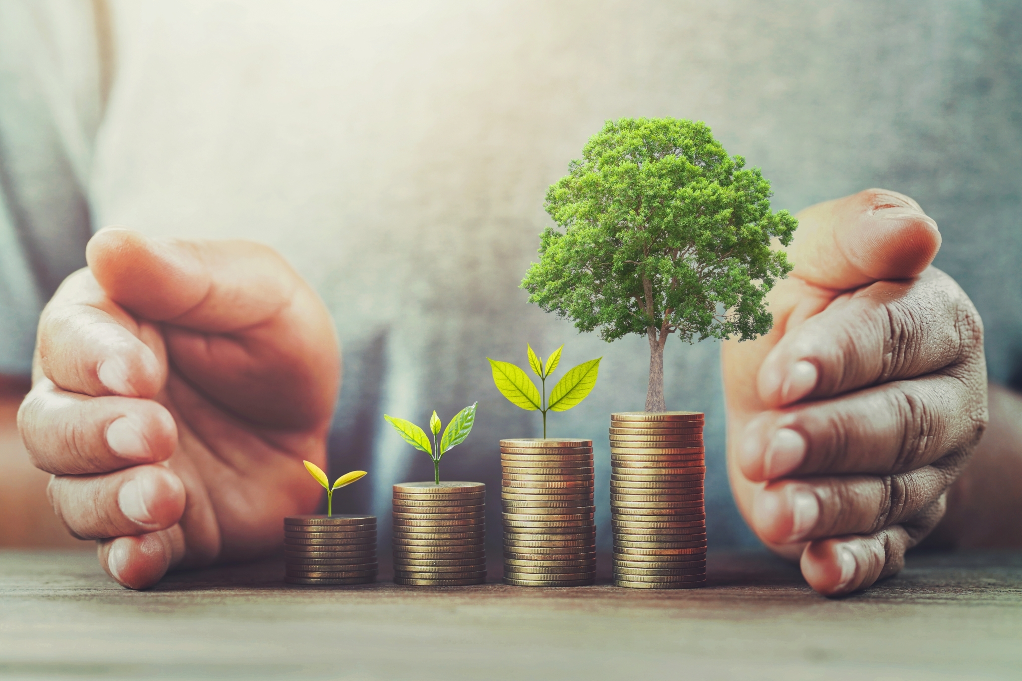 Businessman protection money table with tree