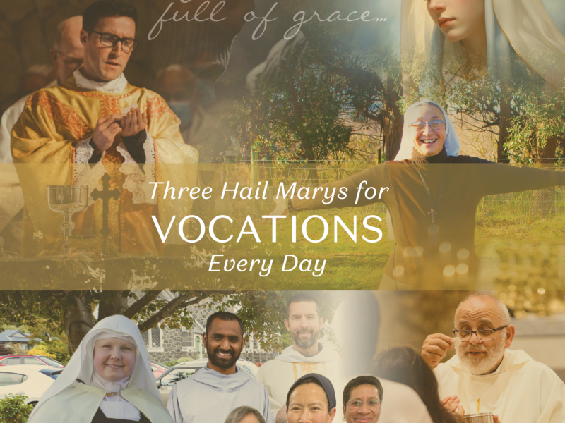 Three Hail Marys Social Media Tile