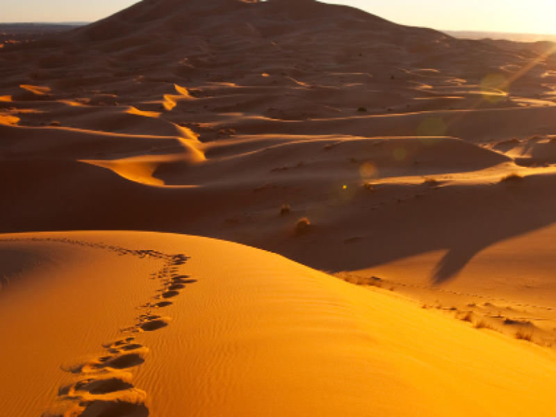 Desert Lent Footsteps Journey