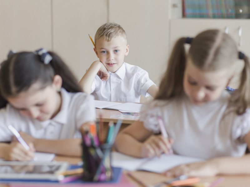 Primary Students School