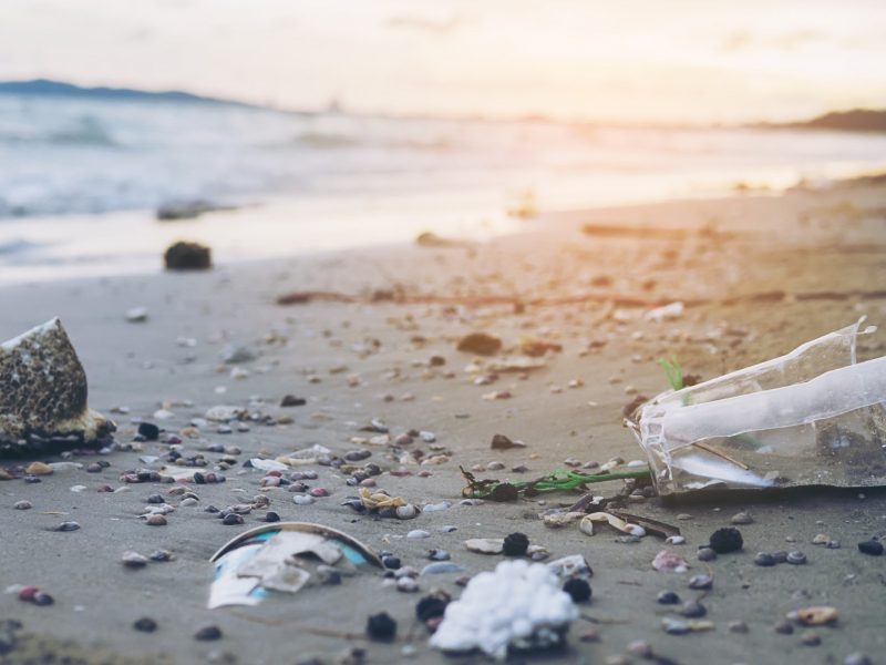 Rubbish Trash Plastic Pollution